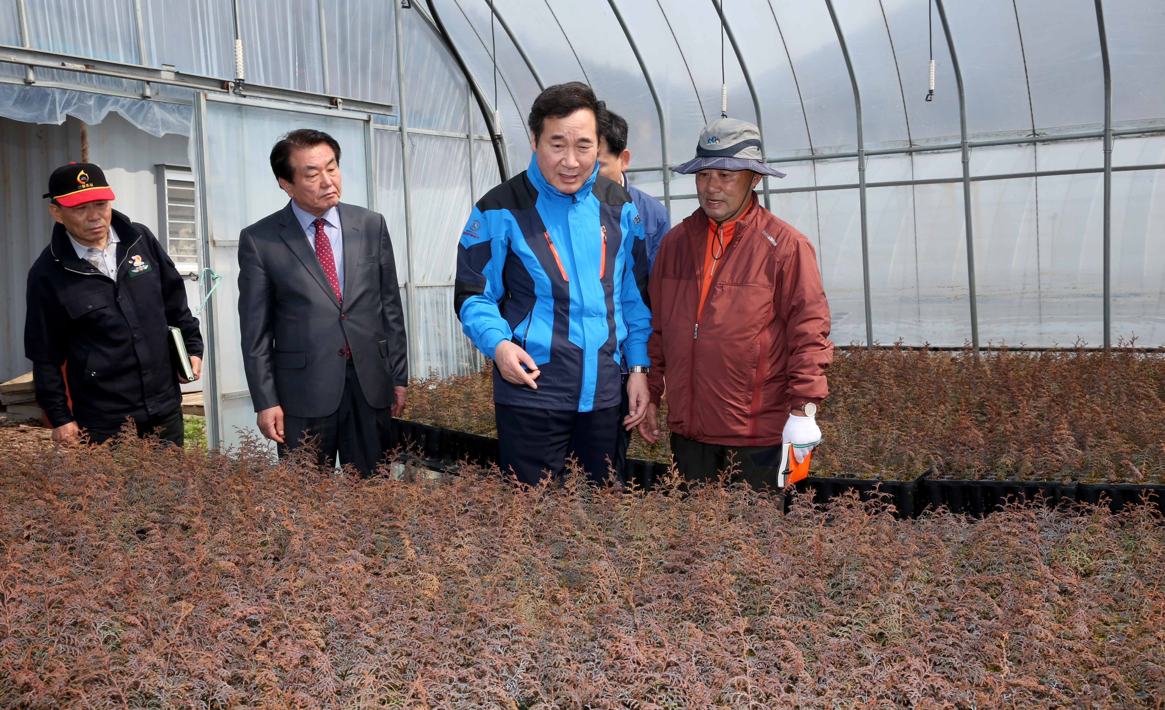 이낙연지사 일본 편백 씨앗 생장현장 방문2