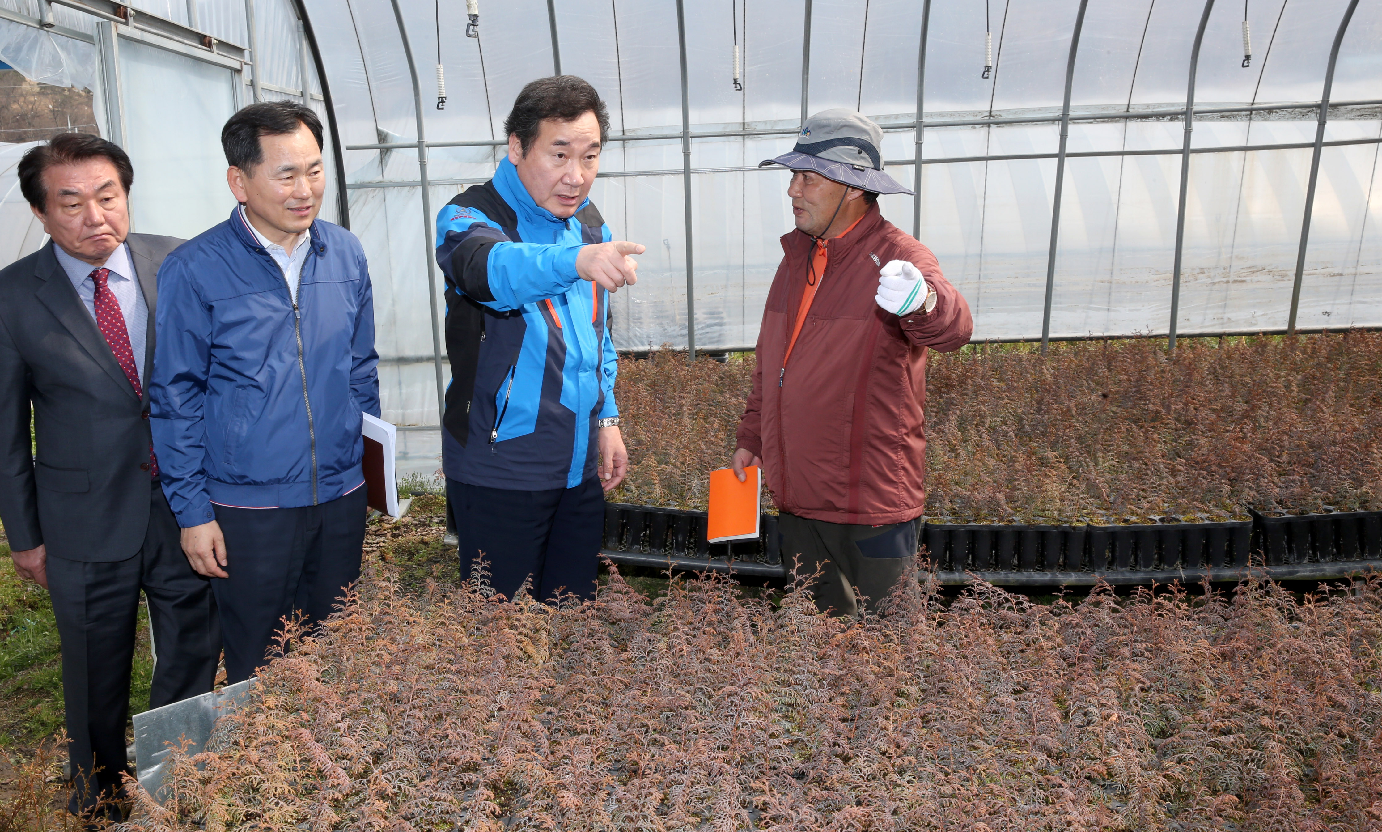 이낙연지사 일본 편백 씨앗 생장현장 방문3