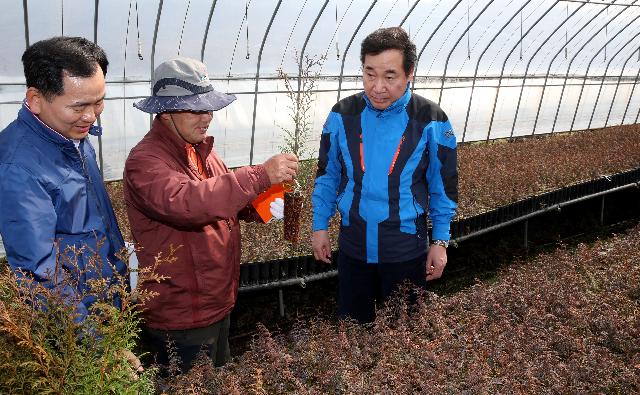 이낙연지사 일본 편백 씨앗 생장현장 방문