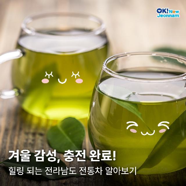 겨울 감성, 충전 완료! 전라남도 전통차 알아보기