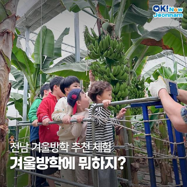 전남 겨울방학 추천 체험! 겨울방학에 뭐하지?