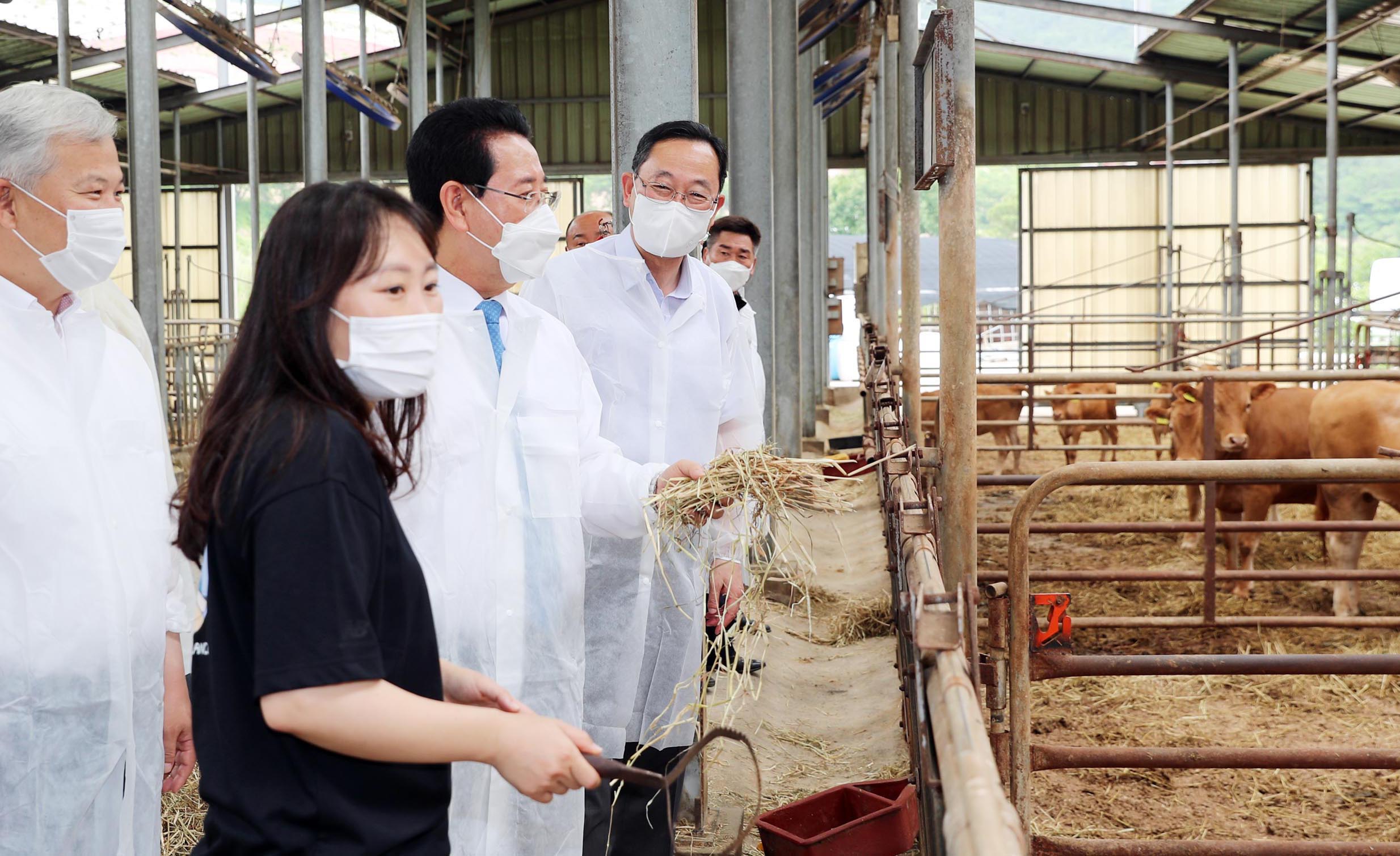 해남 전국 최초  동물복지 한우 농장 방문2
