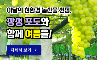 이달의 친환경 농산물 선정, 장성 포도와 함꼐 여름을!